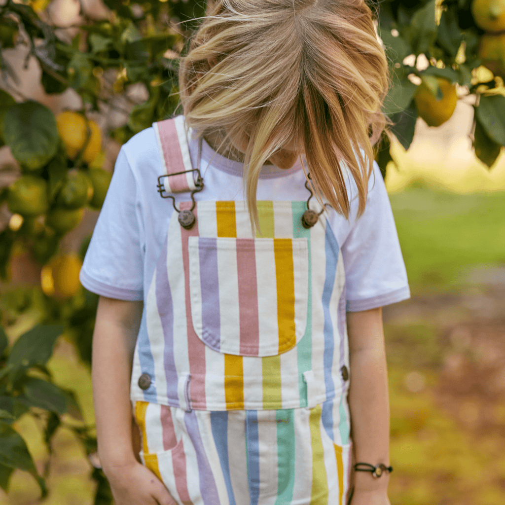 Classic Wide Stripe Shorts - Multicolour - Dotty Dungarees Ltd